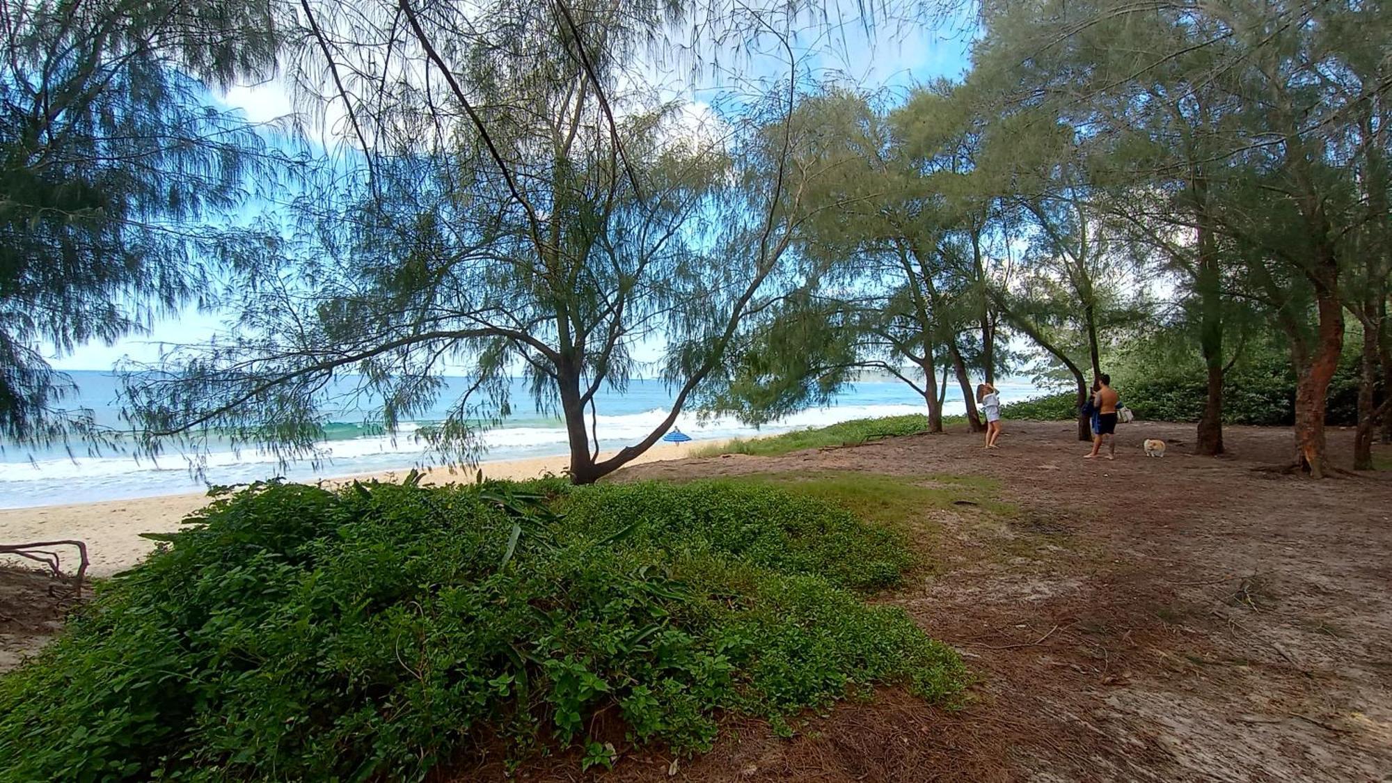 Florianópolis Pousada Zaua Guest House מראה חיצוני תמונה