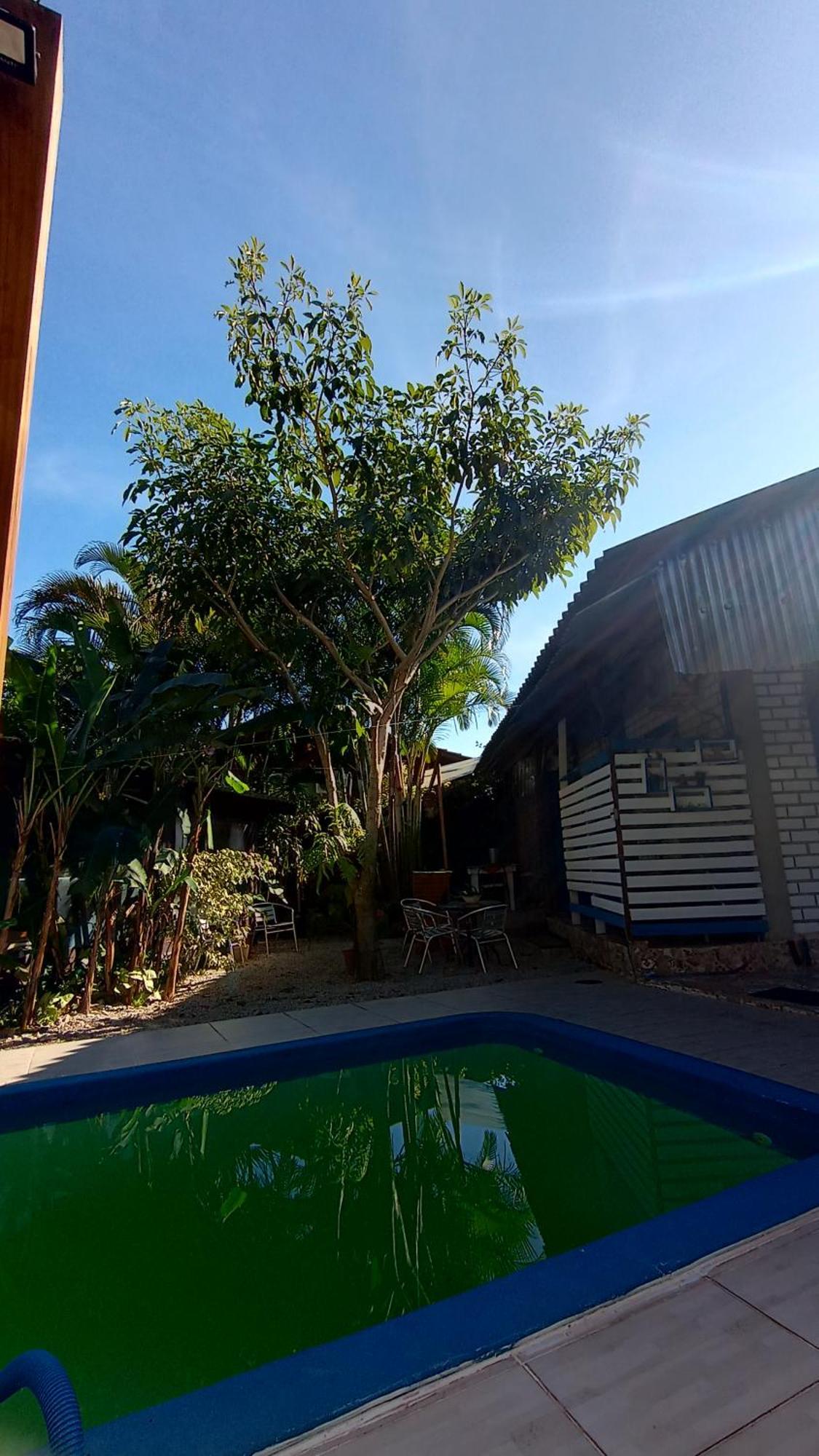 Florianópolis Pousada Zaua Guest House מראה חיצוני תמונה